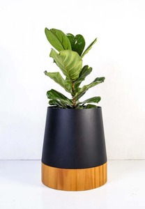 Maceta y maceta de metal de fabricante OEM con forma abstracta y cuerpo elegante hecha para entusiastas creativos de la decoración de interiores - Product Image 2