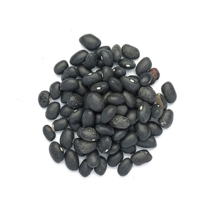 Cheap price black kidney beans bulk supply high quality export fast delivery factory deal - Product Image 1