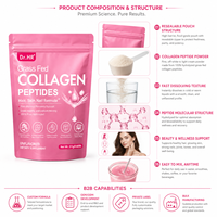 Boisson en poudre de collagène pour femmes, soluble instantanément, peptides de collagène marin à petites molécules, vitamine C, complément hydratant pour la peau