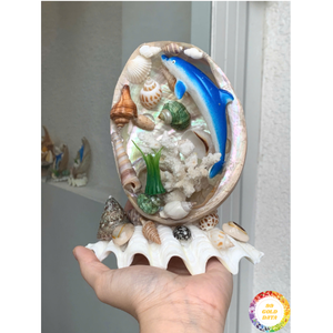 Decoración de Playa al por Mayor, Modelo de Perla Pulida Hecha a Mano, Concha Mixta, Estrella de Mar, Manualidades, Decoración de Acuarios - Caryln - Product Image 6