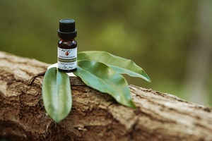 Aceite Esencial Hylas Essentials Mandravasarotra 10ml 100% Puro de Hoja de Cinnamosma Fragrans Destilado al Vapor para Todo Tipo de Piel - Product Image 3
