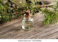 100% Pure Natural Certified Juniper Berry Hydrosol Oil pour l'aromathérapie à bas prix et de haute qualité Exportateur en vrac de l'Inde - Product Image 4