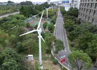 Mini système de production d'énergie éolienne domestique Générateur d'éolienne compact pour usage domestique