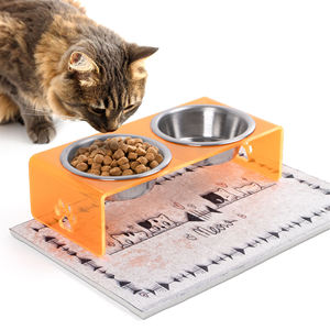 Station d'alimentation pour animaux de compagnie à double bol en acrylique, portable, étanche, grande capacité, pour chats, chiens, petits animaux, moderne, élégante, pour l'intérieur - Product Image 1