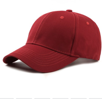 Topi Bisbol Berkualitas Tinggi dengan Harga Murah dari Vietnam 50Pcs/Karton