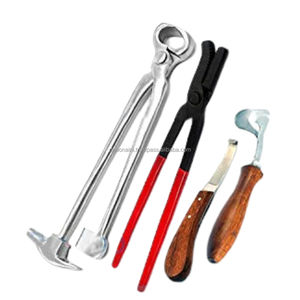 Kit d'outils professionnels pour le soin des sabots de fermeur, instruments chirurgicaux vétérinaires, ensemble de coupe de sabots pour chien, acier inoxydable réutilisable, transportable - Product Image 2