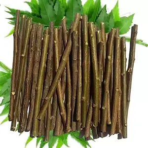 Neem Datun palitos para masticar de Neem Datun limpiador de dientes y lengua a base de hierbas orales, palo de Neem orgánico Natural para cepillar - Product Image 5