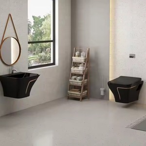 Inodoro colgado en la pared de cerámica de lujo estilo europeo con lavabo artículos sanitarios de baño asequibles - Product Image 1