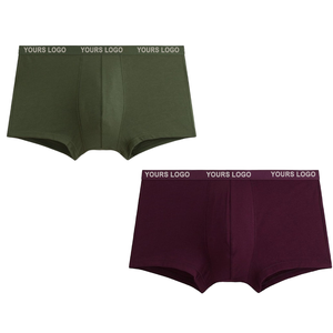 High Quality Men's Mid-Rise Mesh Underwear Custom Fabric Designer Anti-Bacterial Clothing at an Price Direct From Manufacturer - Product Image 1