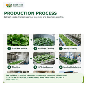 Espinacas Congeladas IQF de 2-4 cm para Platos Preparados y Procesamiento de Alimentos - Product Image 3
