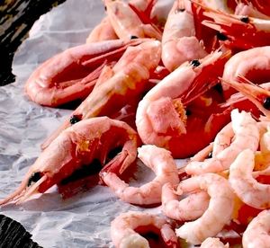 Camarones Frescos Congelados de Agua Fría, Mariscos Premium Enteros para Distribución Mayorista e Industria de Servicios Alimentarios - Product Image 5