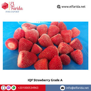 ผลไม้แช่แข็งจากธรรมชาติเกรดไอคิวเอฟสตรอเบอร์รี่เกรดเอรสชาติดีระดับพรีเมี่ยม - Product Image 4