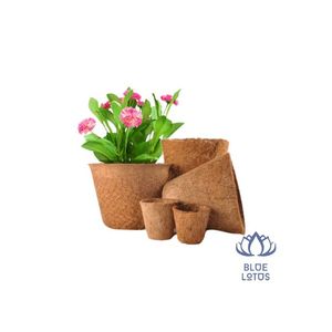 Maceta de coco para planta, árbol verde, mantillo de flores, biodegradable, venta al por mayor, maceta de inicio de semillas, proveedor de fabricantes, maceta colgante - Product Image 1