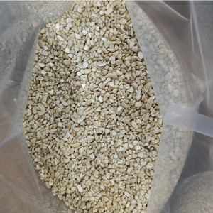 บริการ 24 ชั่วโมง เม็ดมะม่วงหิมพานต์แตก ขายเม็ดมะม่วงหิมพานต์  มาตรฐานยุโรป ถั่วแห้ง SANTIGO - Product Image 1