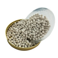 Filtre à billes céramiques de neutralisation des condensats contrôlé par PLC pour chauffe-eau à gaz avec garantie d'un an