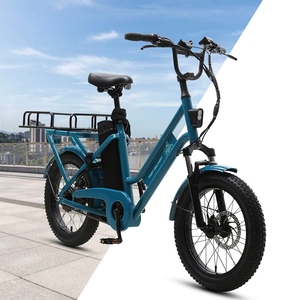 Porte-bagages arrière <span class=keywords><strong>SHIMANO</strong></span> 7 vitesses, moteur à moyeu en aluminium, grande batterie, longue autonomie, cadre en alliage de 20 pouces, vélo électrique cargo pour la livraison de nourriture - Product Image 1