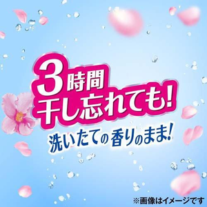 El más nuevo Japón hizo Bold Premium Blossom detergente líquido perfumado para ropa 22,6 oz (640g) - Product Image 6