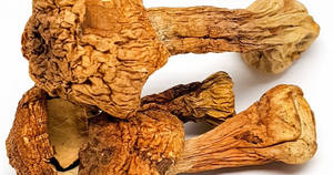 Tranches de champignons Agaricus Blazei Murrill séchés par le fabricant, faibles en calories - Product Image 2