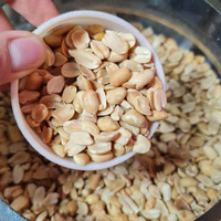 Meilleure vente directement d'arachides salées pelées grillées biologiques de haute qualité collations d'emballage personnalisées du fournisseur vietnamien