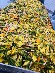 Premium Vietnam VF Chips de frutas y verduras secas Crispy Snack Mix Perfecto para el mercado de exportación y el suministro a granel 2025 - Product Image 6