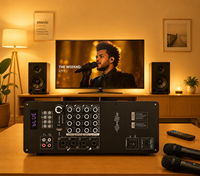 Amplificateur de puissance karaoké 240W, amplificateur audio double canal avec double entrée microphone pour système de haut-parleurs domestiques