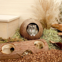 Vente en gros de lit de maison de hamster en cabane de noix de coco naturelle pour décor de cage de petit animal prix bon marché du Vietnam