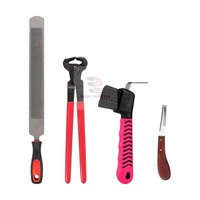Kit d'outils de fermeur vétérinaire pour chevaux : Pince à sabots, Râpe, Marteau, Couteau, Lime – Réutilisable en acier inoxydable