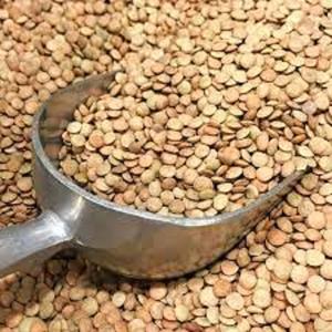 Lentejas Verdes y Rojas de Alta Calidad, Alimento Seco, Empacado a Granel de 25 kg, 2 Años de Vida Útil para Mercados Internacionales - Product Image 1