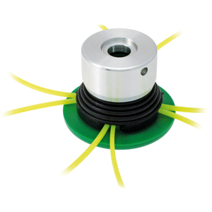 Testa di Taglio Attilina - Product Image 1
