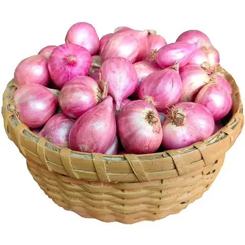 Fresh Red Onion exporters and Importers Fresh Vegetables Onion Wholesale Red Onion With Good Price