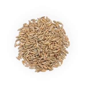 Biologische Rogge Granen/Biologische Producten Gecertificeerde Biologische Rogge Bessen | 5 Pond Hele Rogge Granen | Geweldig Voor Brood Groothandel Biologisch