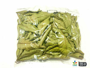 Feuille de goyave séchée pour usage à base de plantes Remède naturel pour la santé et le bien-être - Product Image 3