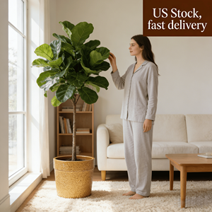 Ensemble de 3 pots de fleurs en céramique Mdj, ronds, noirs brillants, pour l'intérieur et l'extérieur, pots de fleurs modernes minimalistes pour la maison et le jardin - Product Image 3