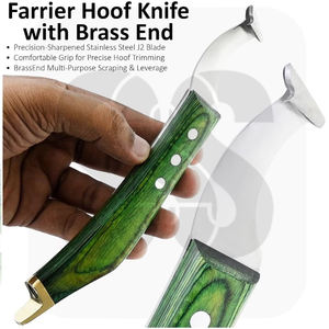 Cuchillo para Cascos de Caballos con Hoja Curva de Acero Inoxidable para Zurdos, con Mango Verde para el Recorte de Cascos de Caballos - Servicio OEM/ODM - Product Image 5