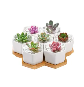 Großer Keramik-Blumentopf Indoor-Blumentopf für Hauspflanzen und andere Indoor-Pflanzen für Sechseck-Form Holzständer