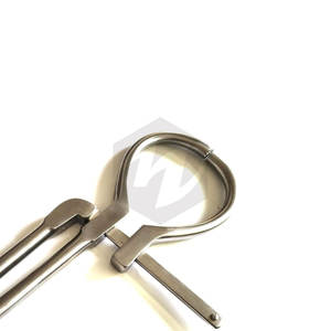 Probador de Cascos al por Mayor, Patrón Viena, 16 Pulgadas, Herramienta de Herrador, Instrumento Veterinario, Cuidado Profesional de Cascos Equinos - Product Image 4