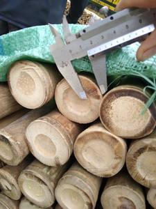 เสาไม้ไผ่ธรรมชาติและประดิษฐ์จากเวียดนามสำหรับตกแต่งในร่มและกลางแจ้งจัดส่งจำนวนมากพร้อมบริการจัดส่งด่วนทั่วโลก - Product Image 6