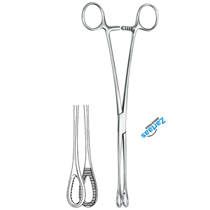 Fórceps de hisopo de algodón Foerster de acero inoxidable de alta calidad, fabricante de instrumentos quirúrgicos rectos dentados de 20cm / 8 pulgadas - Product Image 3