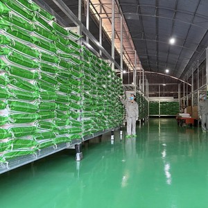 บริการ oem/odm สำหรับผงวุ้นสีดำมีบรรจุภัณฑ์และสูตรเฉพาะ - Product Image 6