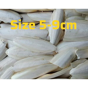 Hueso de calamar de hueso de sepia natural seco de calidad a granel para loros y reptiles a precio de fábrica. - Product Image 2