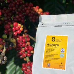 Aurora Honey Arabica Café tostado medio Especialidad Granos de Vietnam para Asia Cafe Cadenas Bolsa de embalaje - Product Image 4