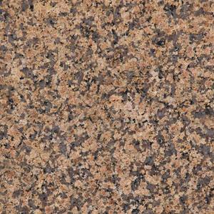 Azulejos de granito crema real de piedra natural en tamaños personalizados, 100% azulejos de granito crema real puro, azulejo de granito crema real - Product Image 2