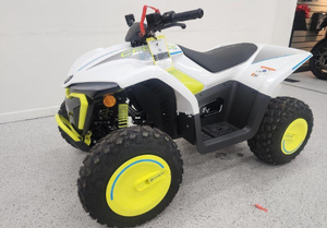 Vélo électrique industriel DIY ODM 2025 EV110 110cc à moteur électrique avec garantie de 3 ans - Product Image 2