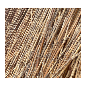 Hot <b>Sale</b> for Raw Natural <b>Rattan</b> Pole, Sustainable Alternative Material for Stylish and Durable <b>Furniture</b> From Vietnam - Product Image 1