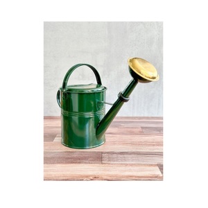 Arrosoir en métal pour jardin extérieur avec poignée robuste et construction durable et résistante - Product Image 3