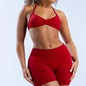 Haut Impact sport dos nu cou suspendu soutien-gorge vêtements de sport femmes Sexy entraînement Push-Up hauts Yoga ensembles Shorts - Product Image 3