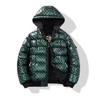 Veste matelassée unisexe à capuche et col montant pour homme, imperméable et respirante, grande taille, idéale pour l'extérieur en hiver – Vente en gros directe usine