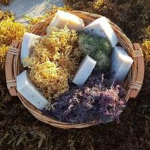 Savon à la mousse de mer biologique naturel de marque privée OEM Barre de savon éclaircissant Savon aux algues du Vietnam - Product Image 4