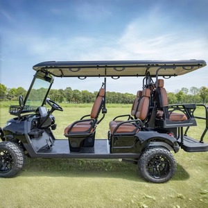 Servicios de Personalización de Carros de Golf para 1-2 Pasajeros, Carro Eléctrico Vintage con Velocidad Máxima de 30 km/h y Autonomía de 90 km, Certificado CE - Product Image 4