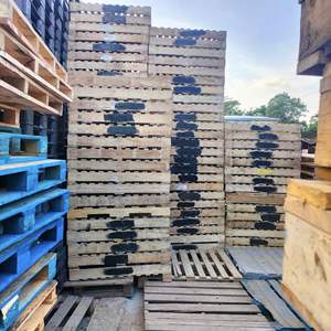 Usine directe EPAL palettes en bois traitées thermiquement palette en bois massif prix des palettes en bois robustes - Product Image 5